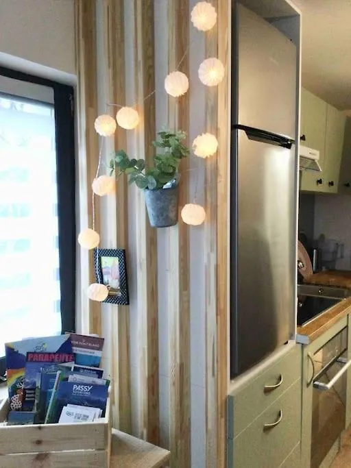 Gene Fiz, Location Passy Apartment France